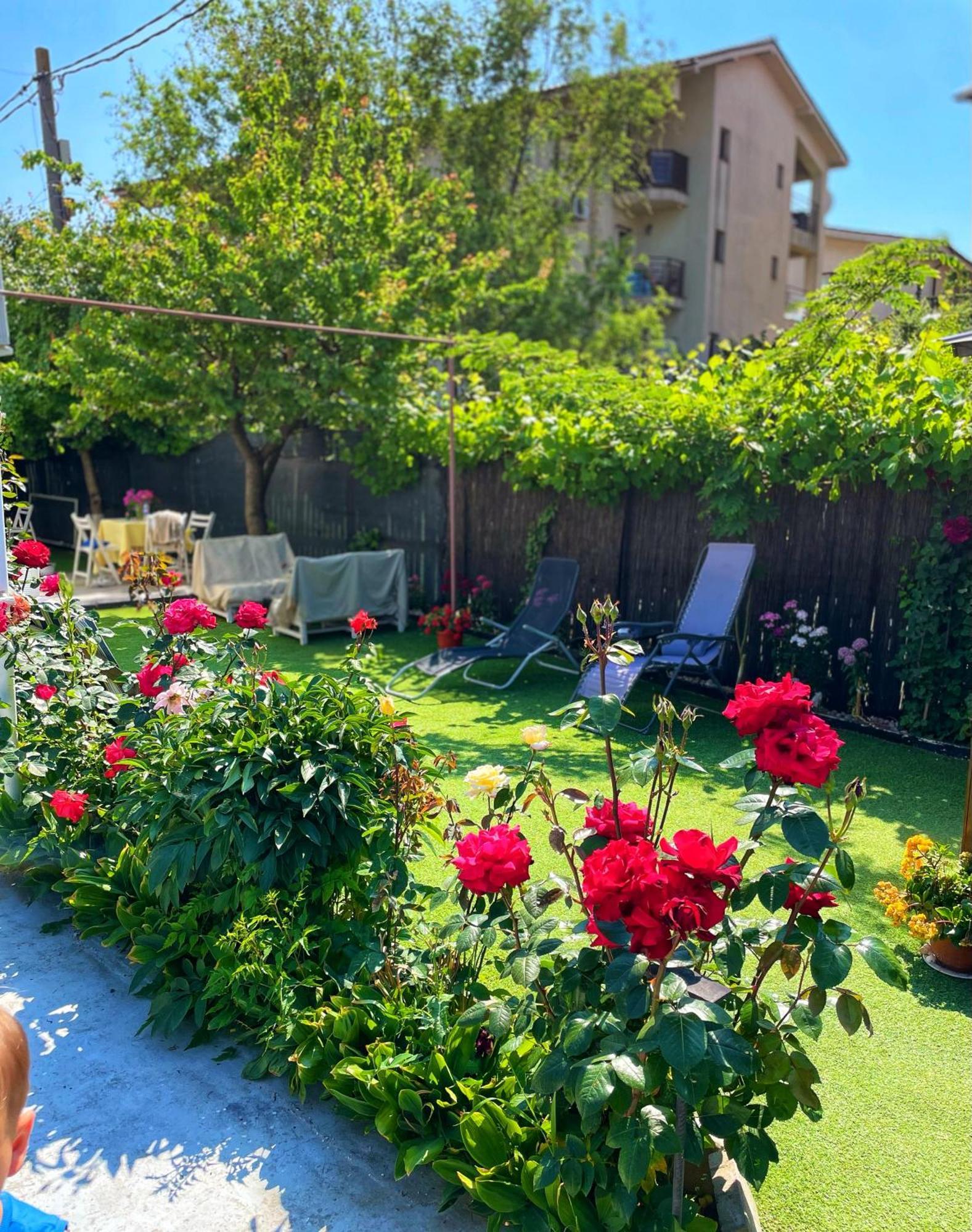 Vila Cris Apartments Năvodari المظهر الخارجي الصورة